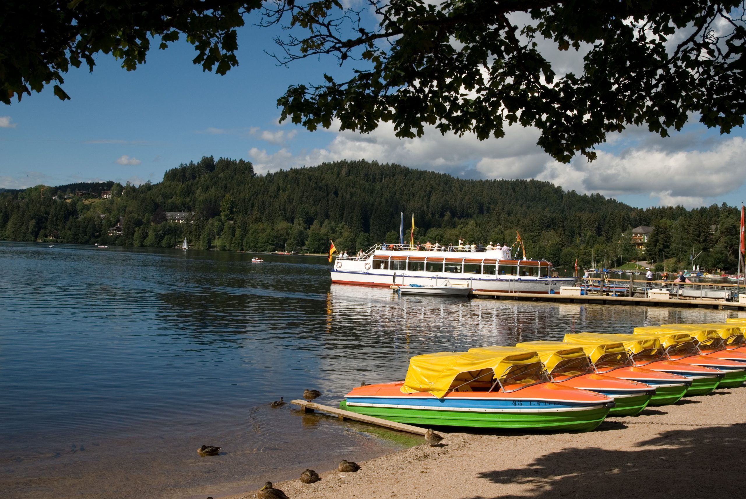 Mehrere bunte Tretboote mit gelben Abdeckungen stehen nebeneinander am sandigen Ufer eines Sees. Auf dem Sand bewegen sich Enten, und im Hintergrund ist ein weißes Boot am Steg zu sehen. Dahinter erstrecken sich bewaldete Hügel unter einem teils wolkigen Himmel.